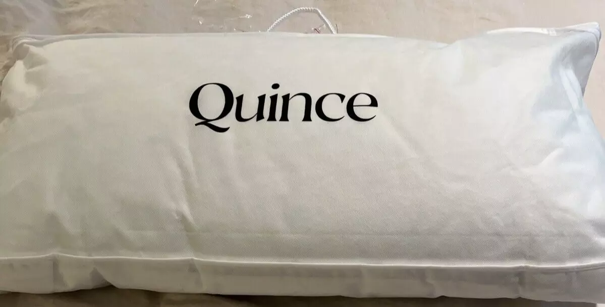 Nwot Quince King Pillow Goose Down Medium
